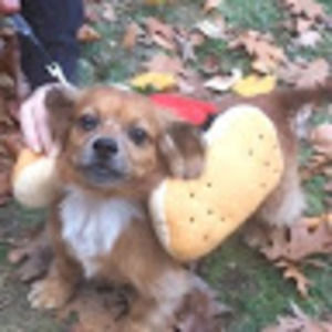 Meet your Posher, Kerri